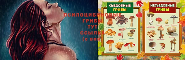 мяу мяу мука Алексеевка